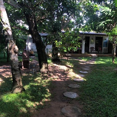 Sylvester Villa Hostel Negombo Extérieur photo