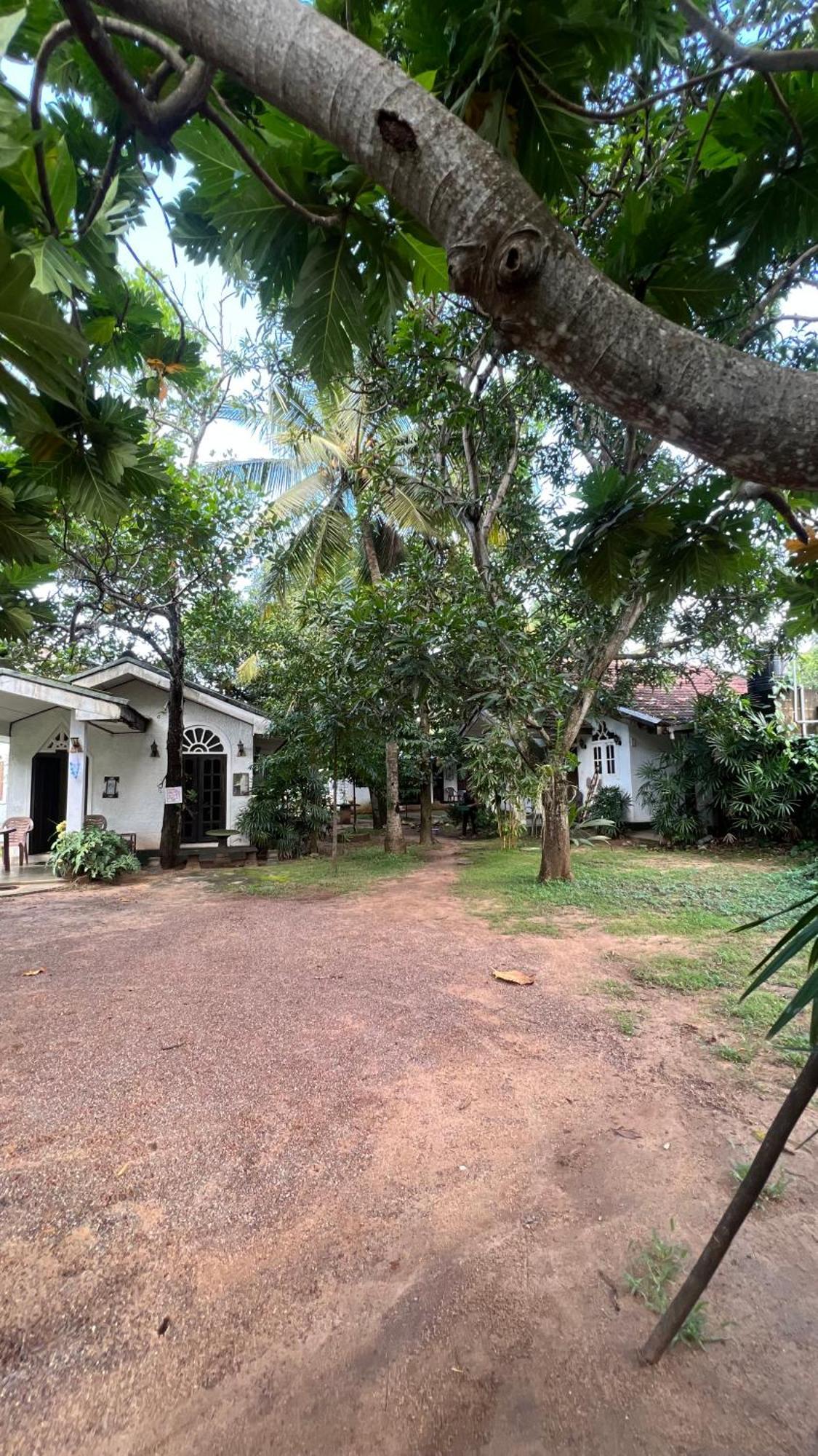 Sylvester Villa Hostel Negombo Extérieur photo
