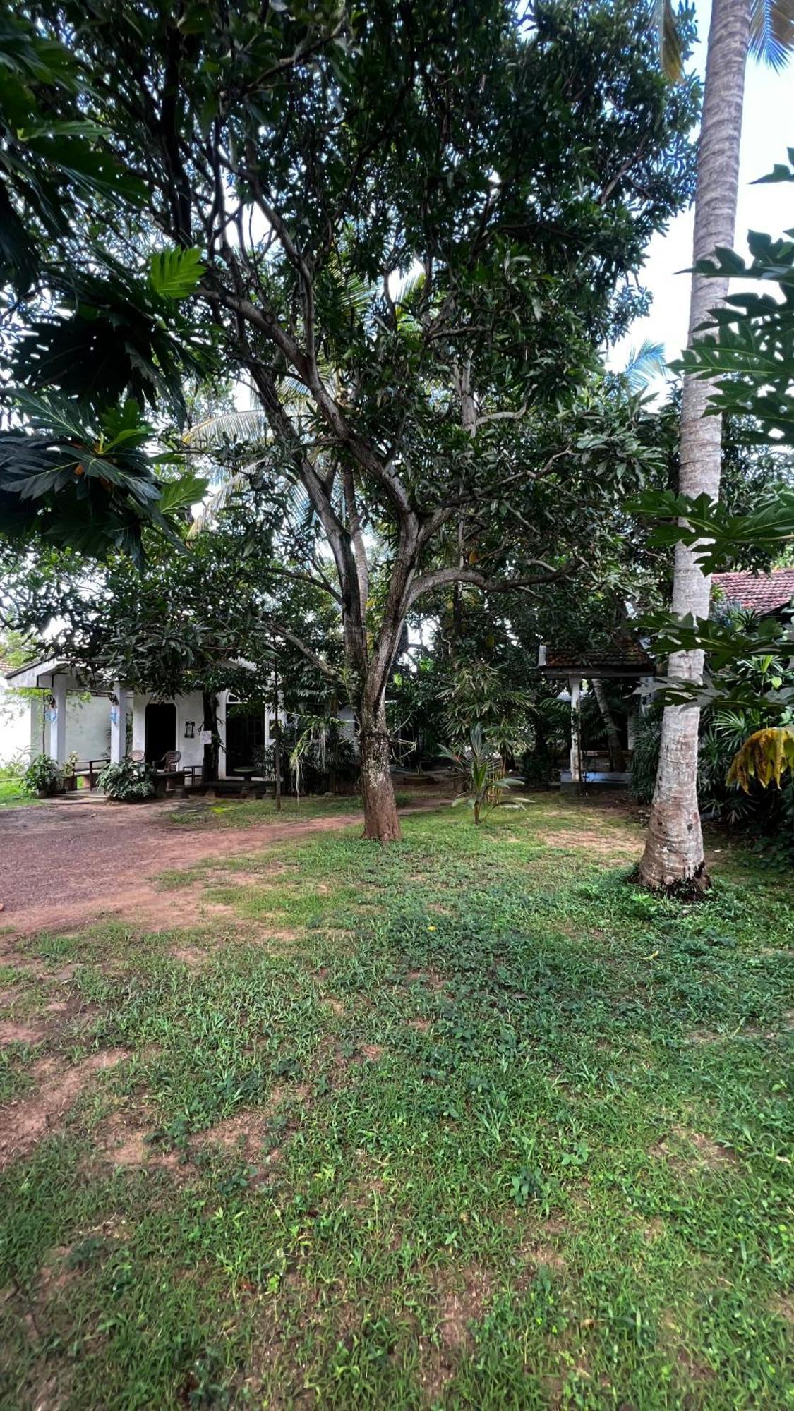 Sylvester Villa Hostel Negombo Extérieur photo