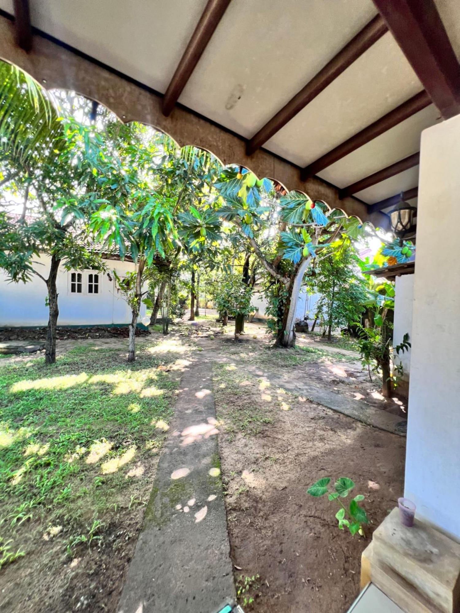 Sylvester Villa Hostel Negombo Extérieur photo