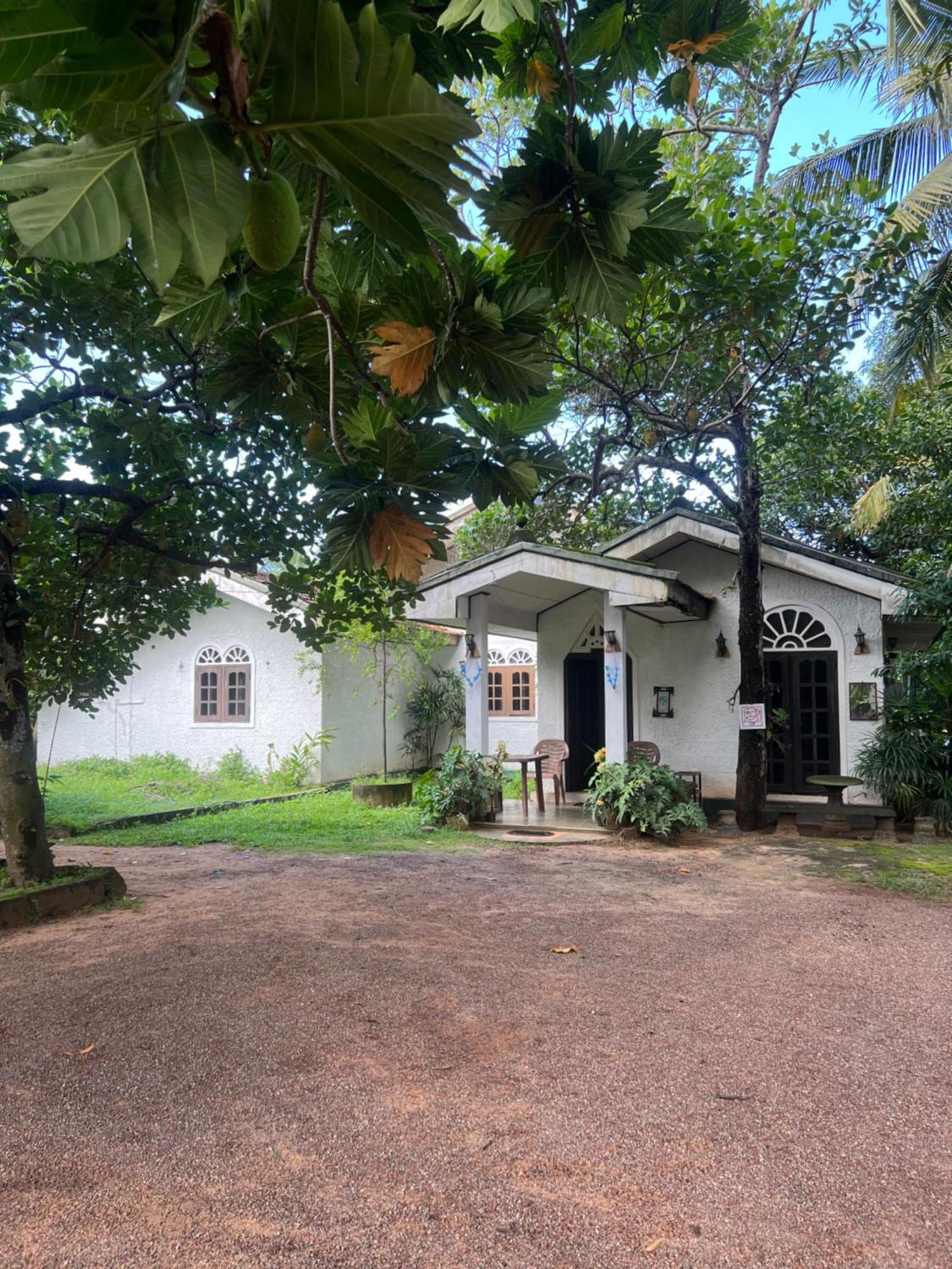 Sylvester Villa Hostel Negombo Extérieur photo